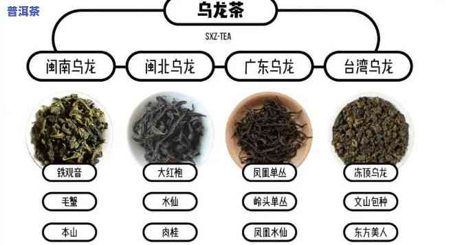 乌龙茶和白茶的区别是什么，探究乌龙茶与白茶的不同之处