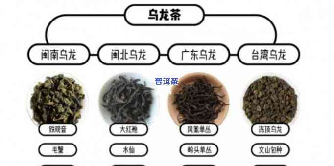 乌龙茶和白茶的价值比较：哪个更高？