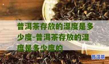 普洱茶弄湿了怎么办？正确解决方法大揭秘！