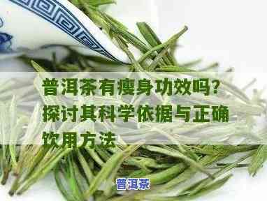 普洱茶减肥：怎样科学饮用以达到更佳效果？