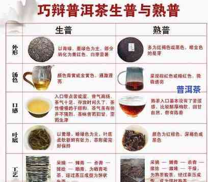 普洱茶指什么人，探秘普洱茶：揭示这类茶叶与人的关系