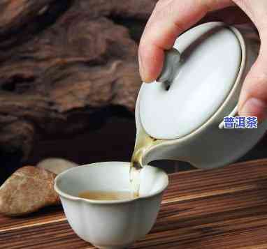 普洱茶适合用什么壶和杯子，「普洱茶」泡法：选择合适的壶与杯