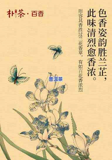 百年茗茶，品味百年茗茶：历史与口感的完美结合