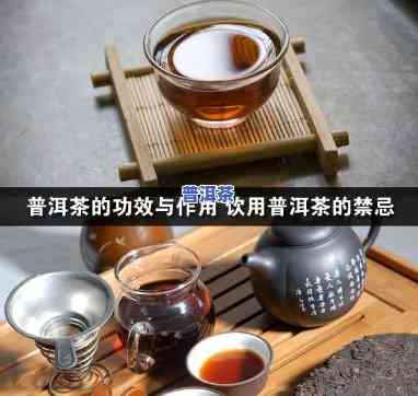 全面解析：三泡饮普洱茶的功效与作用及其禁忌