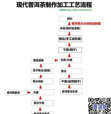 老班章生产厂家，探究老班章生产厂家：揭秘高品质普洱茶的生产过程与秘密