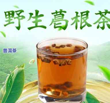 普洱茶与葛根茶对比分析，普洱茶与葛根茶：一场口感与功效的较量