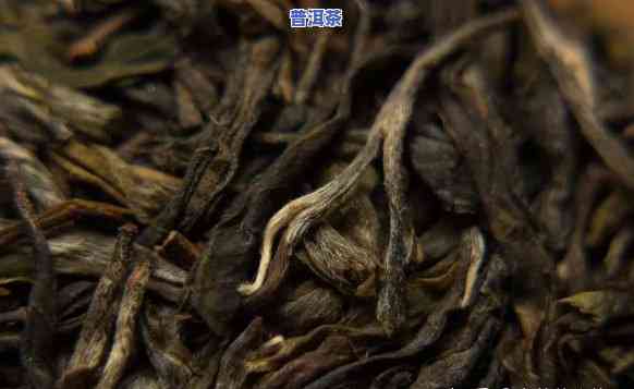 为什么普洱茶有收藏价值？探讨其特别的价值与魅力