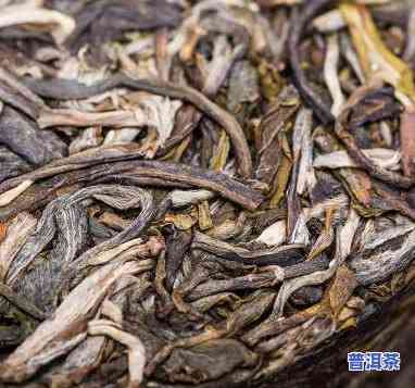 湿仓普洱茶能退仓吗，探讨湿仓普洱茶的退仓可能性