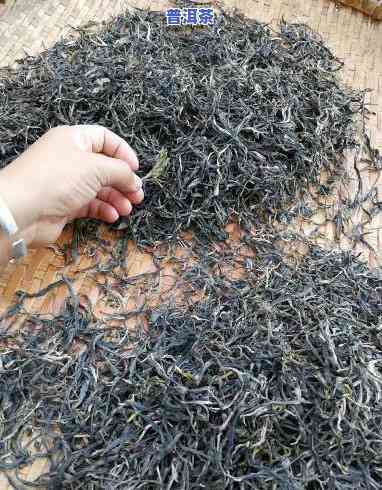 普洱茶生茶熬制方法视频，学会普洱茶生茶熬制，轻松制作美味茶饮！