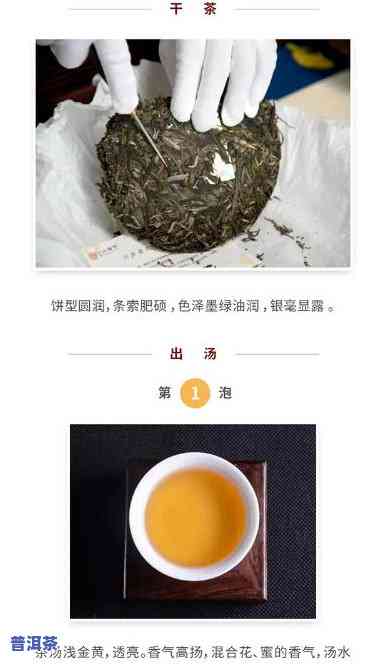 兴海老班章2015，探索普洱茶的奥秘：品鉴兴海老班章2015