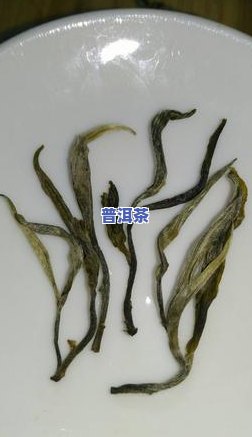 普洱茶树龄越大越好吗，揭秘普洱茶：树龄真的越大越好吗？