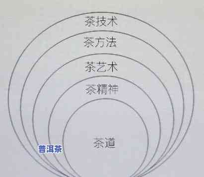 地道普洱茶6613，探索地道普洱茶的魅力：6613的特性和品尝指南