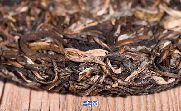 地道普洱茶6613，探索地道普洱茶的魅力：6613的特性和品尝指南