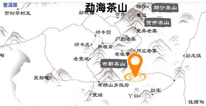 2021年古树普洱茶价格，揭秘2021年古树普洱茶市场价格趋势，深度解析收藏价值