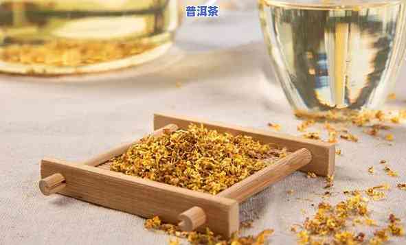 普洱茶里放桂花好吗-普洱茶里放桂花好吗百科