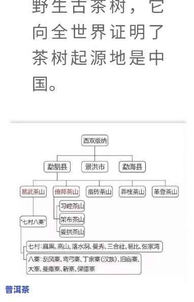 探究勐宋普洱茶的特别口感特点