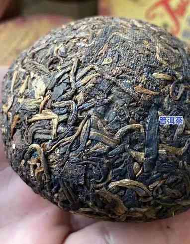 20年的邹记普洱茶-2005邹记普洱茶价格