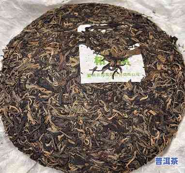 20年的邹记普洱茶-2005邹记普洱茶价格