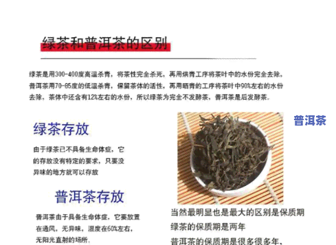 云南普洱茶绿茶-云南普洱茶绿茶排行榜