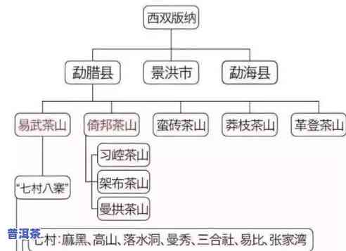 云南普洱茶哪个山更好，揭秘云南普洱茶：哪个山的茶叶品质更佳？