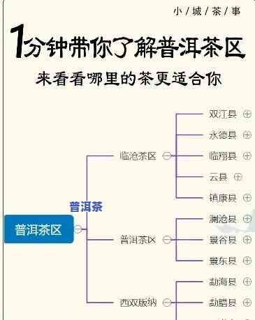 普洱茶编号的含义，探秘普洱茶编号：揭开其背后含义的神秘面纱