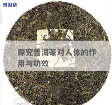 探究普洱茶对健身的作用：全方位解读