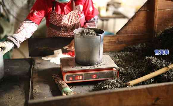 普洱茶蒸压图片，探索普洱茶的制作过程：蒸压图片解析