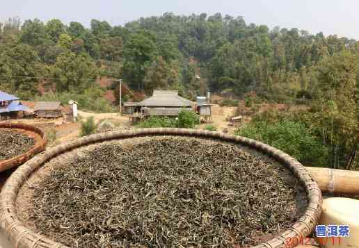 普洱茶旧塘在哪里卖-普洱茶旧塘在哪里卖的