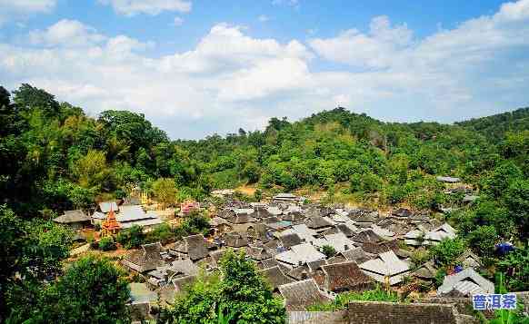 中缅边境茶区：探寻古树茶与村寨风情