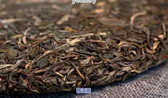 陈年普洱茶价格：多少才算合理？