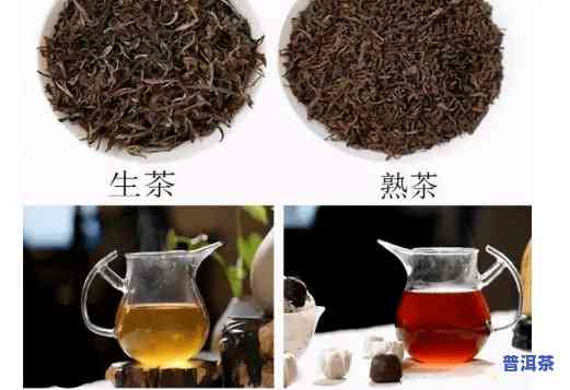 普洱生茶是绿茶类吗还是红茶，普洱生茶：是绿茶还是红茶？