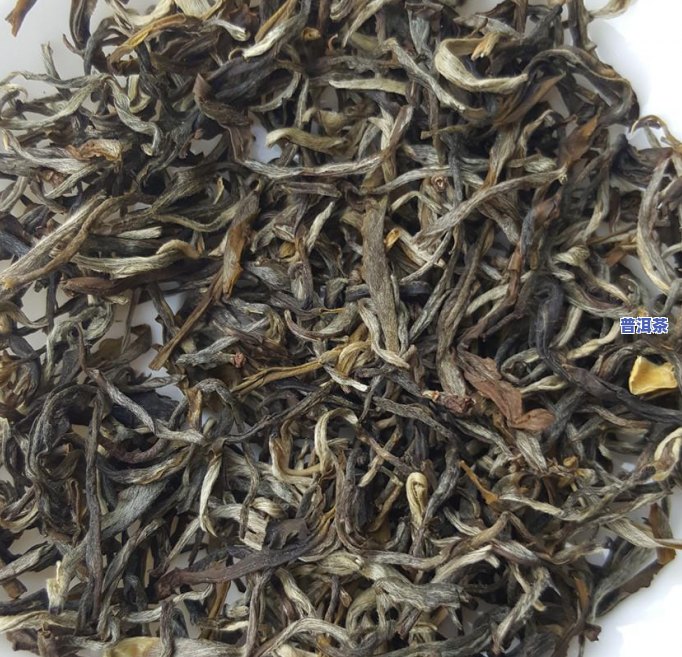 生普洱茶属于绿茶吗，普洱茶是绿茶吗？熟悉生普洱茶的分类和特点