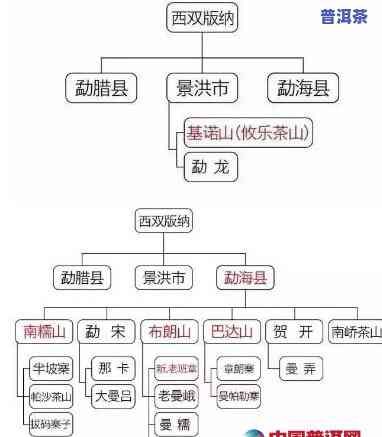 普洱茶区隶属关系图片，揭秘普洱茶区隶属关系：一张图带你熟悉