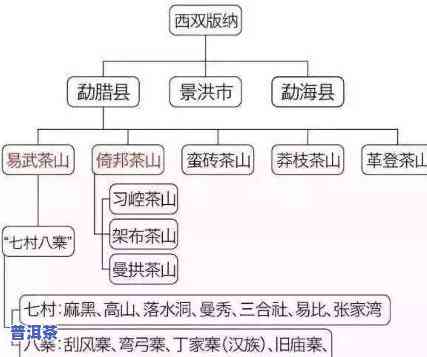 普洱茶区隶属关系图-普洱茶区隶属关系图片