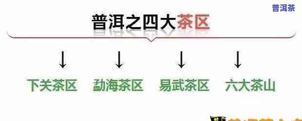 普洱茶区隶属关系图-普洱茶区隶属关系图片