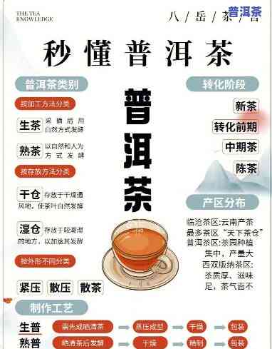 普洱茶图鉴讲解大全-普洱茶图鉴讲解大全视频