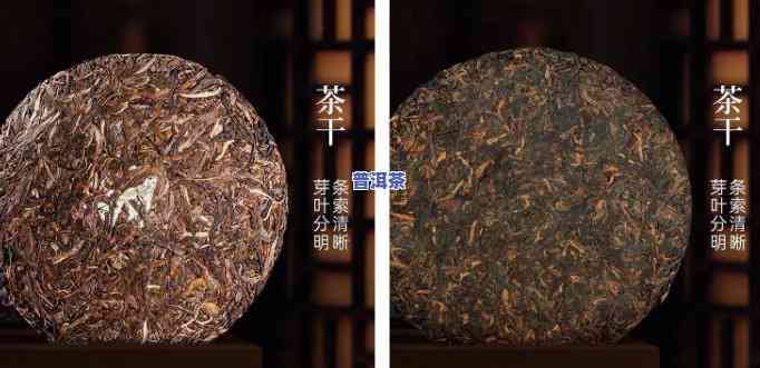 普洱熟茶与生茶哪个更好喝？全面对比解析