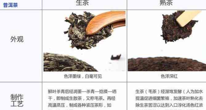 普洱熟茶与生茶哪个更好喝？全面对比解析