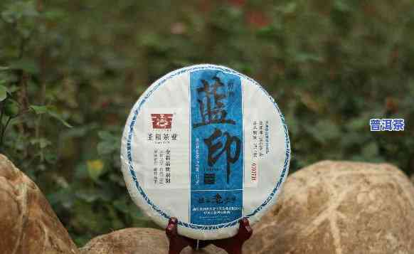 云南圣和茶业普洱茶生茶，品味云南风情：圣和茶业的优质普洱茶生茶