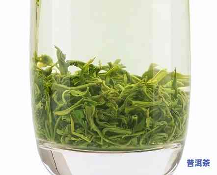 普洱青茶是绿茶吗，普洱青茶：它是绿茶吗？