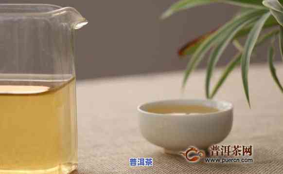 普洱青茶是绿茶吗，普洱青茶：它是绿茶吗？