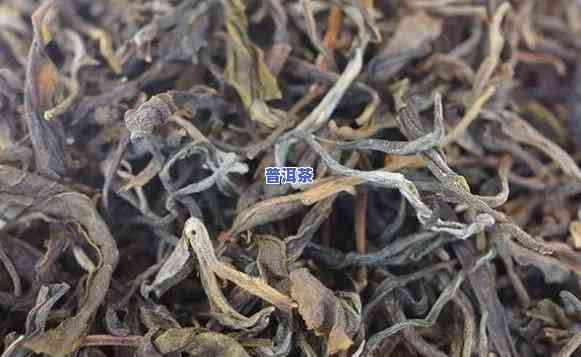 普洱生茶是凉性还是热性？多年后是不是还性寒？