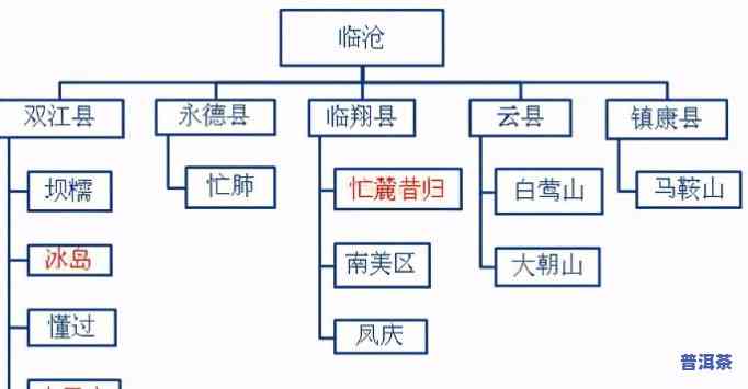 古树普洱茶：如何区分品种与特点？全图解析