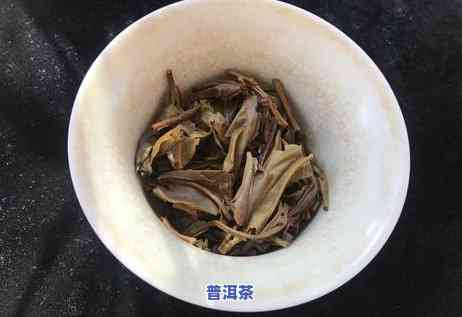 辽宁老班章茶加盟商：与店铺全解析