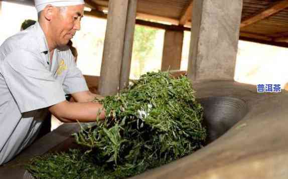 永德茶厂普洱茶直播视频：深度探索普洱茶的魅力与制作工艺