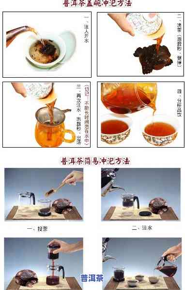 普洱茉莉茶泡法教程：视频 详细步骤大全