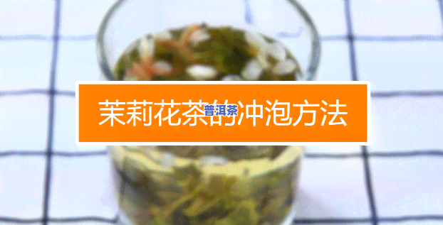 普洱茉莉茶泡法教程：视频 详细步骤大全