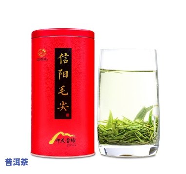 比较：信阳毛尖与普洱茶的口感与品质优劣