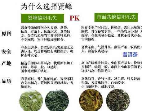 比较：信阳毛尖与普洱茶的口感与品质优劣