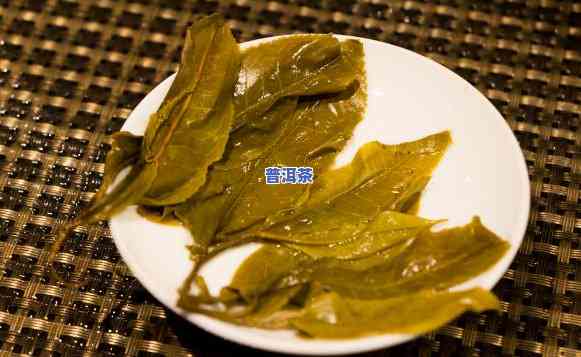 普洱茶上有白色的小点是什么，「揭秘」普洱茶上的白色小点是什么？作用口感还是健康？